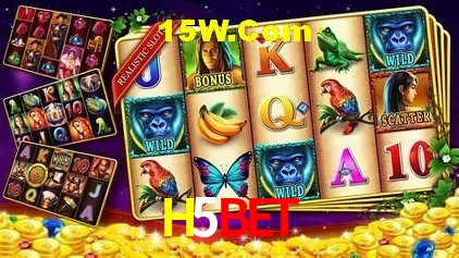 Segurança e performance na plataforma H5Bet